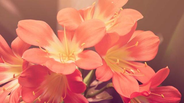 Corsair RM1000e 1000W